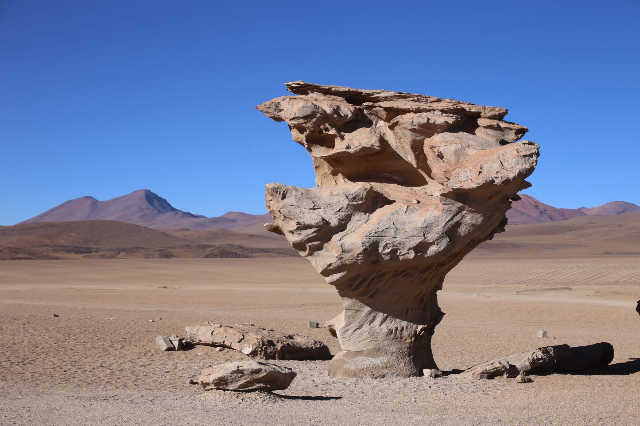 Arbol de Pietra (Stone Tree), Bolivia