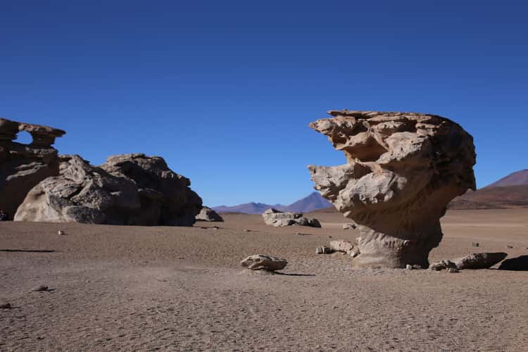 Arbol de Pietra (Stone Tree)
