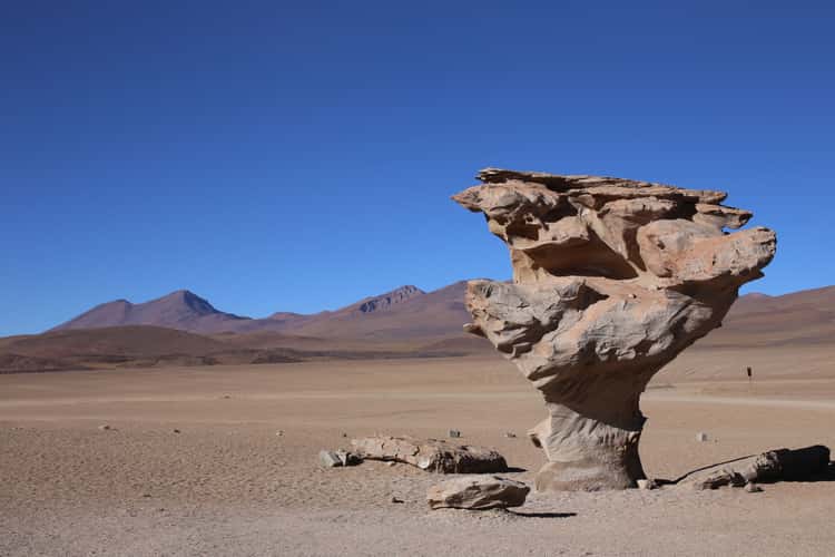 Arbol de Pietra (Stone Tree)