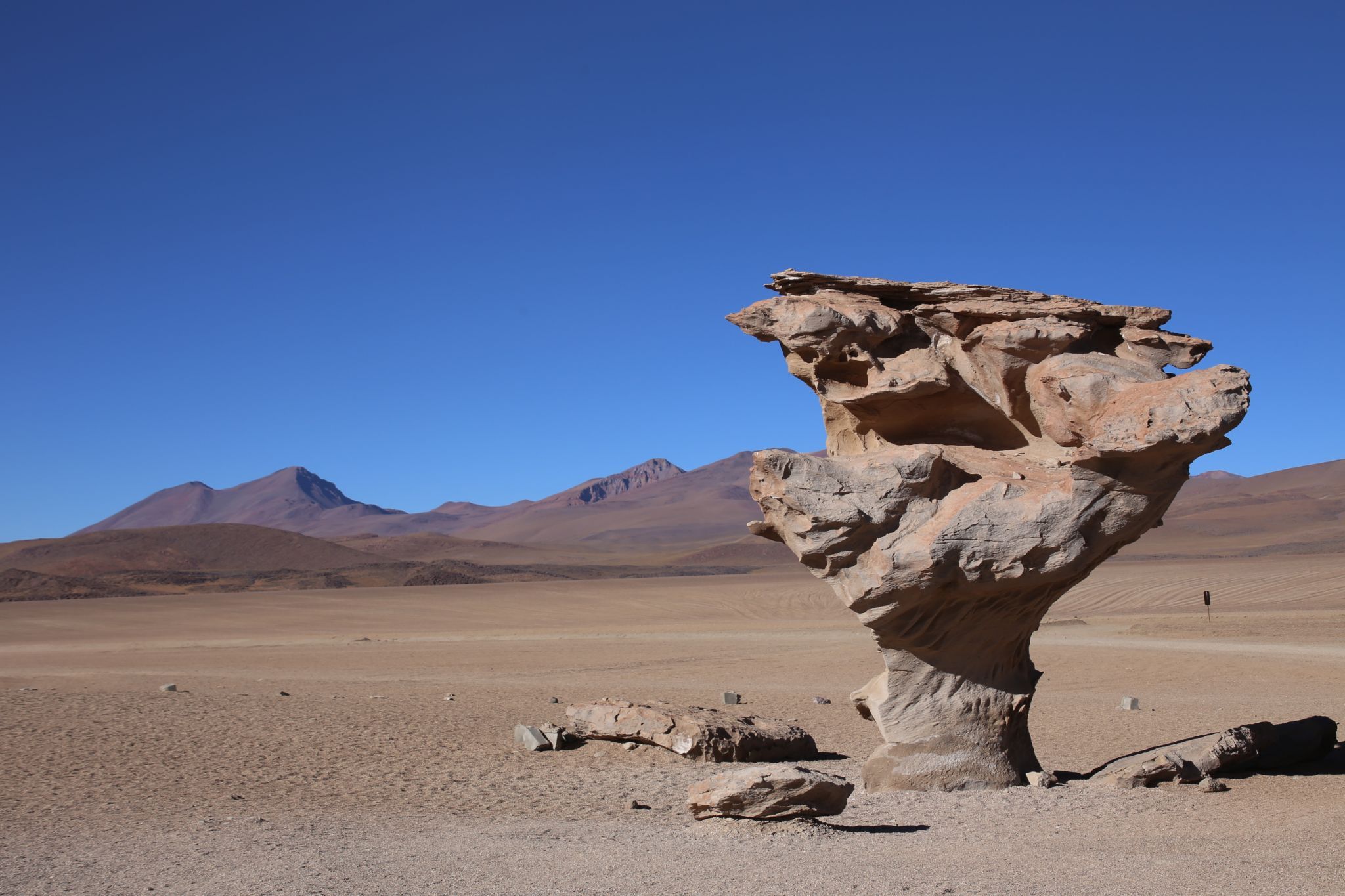 Arbol de Pietra (Stone Tree), Bolivia