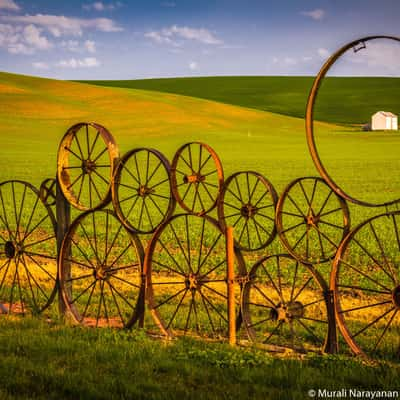 Artisans At the Dahmen Barn, USA