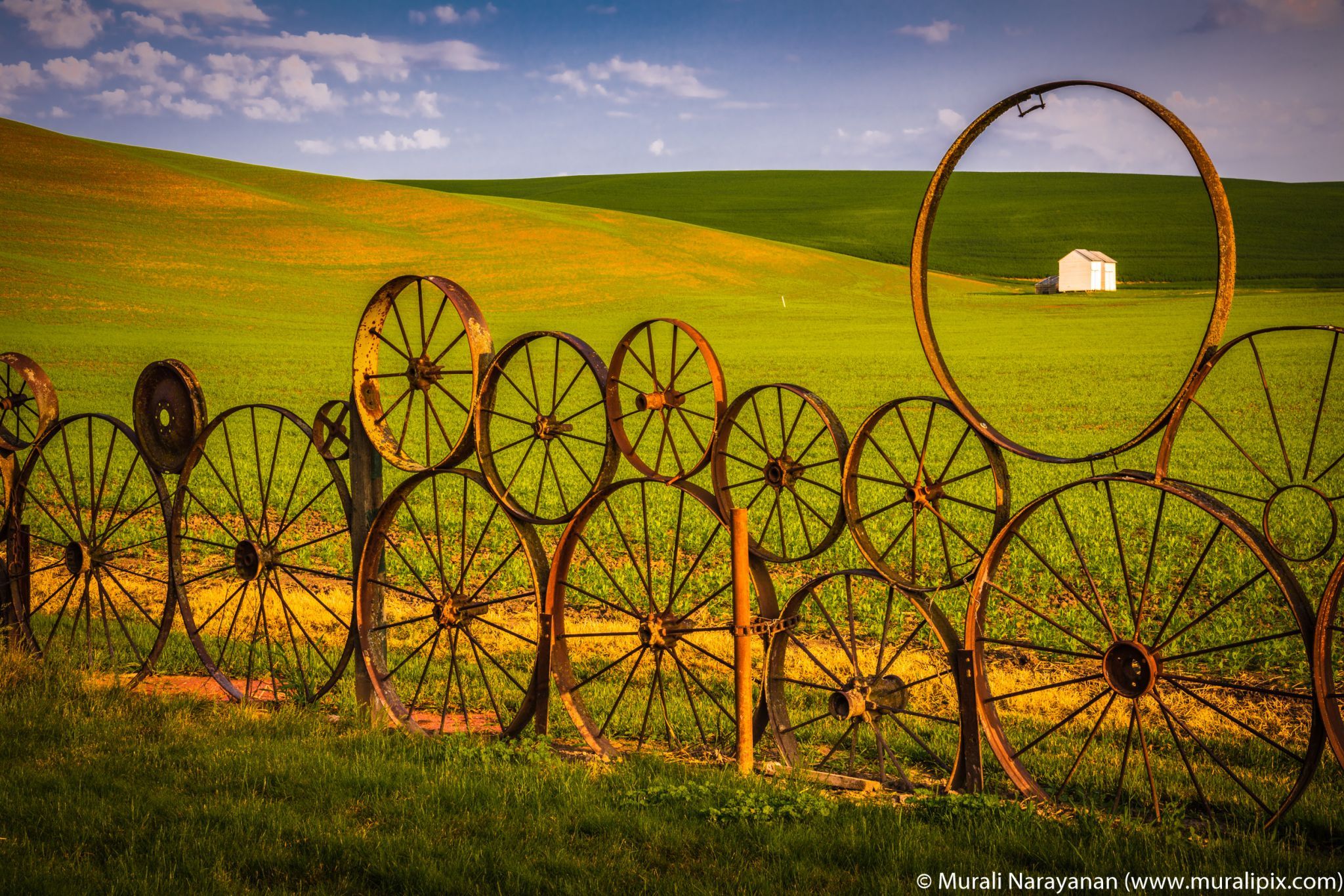 Artisans At the Dahmen Barn, USA