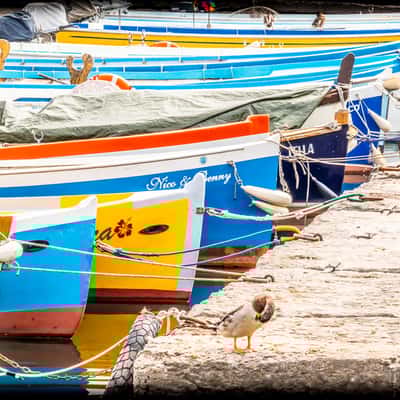 Bardolino,Vr,Italia, Italy