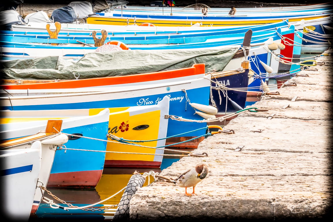Bardolino,Vr,Italia, Italy
