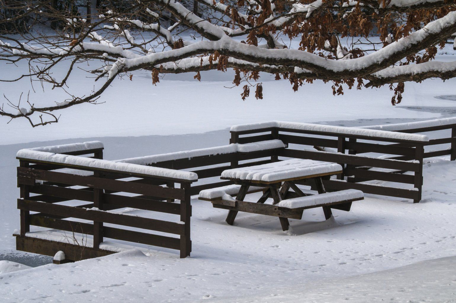 Beach Picnic Bench, USA
