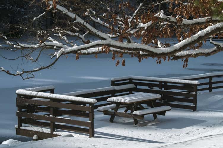 Beach Picnic Bench