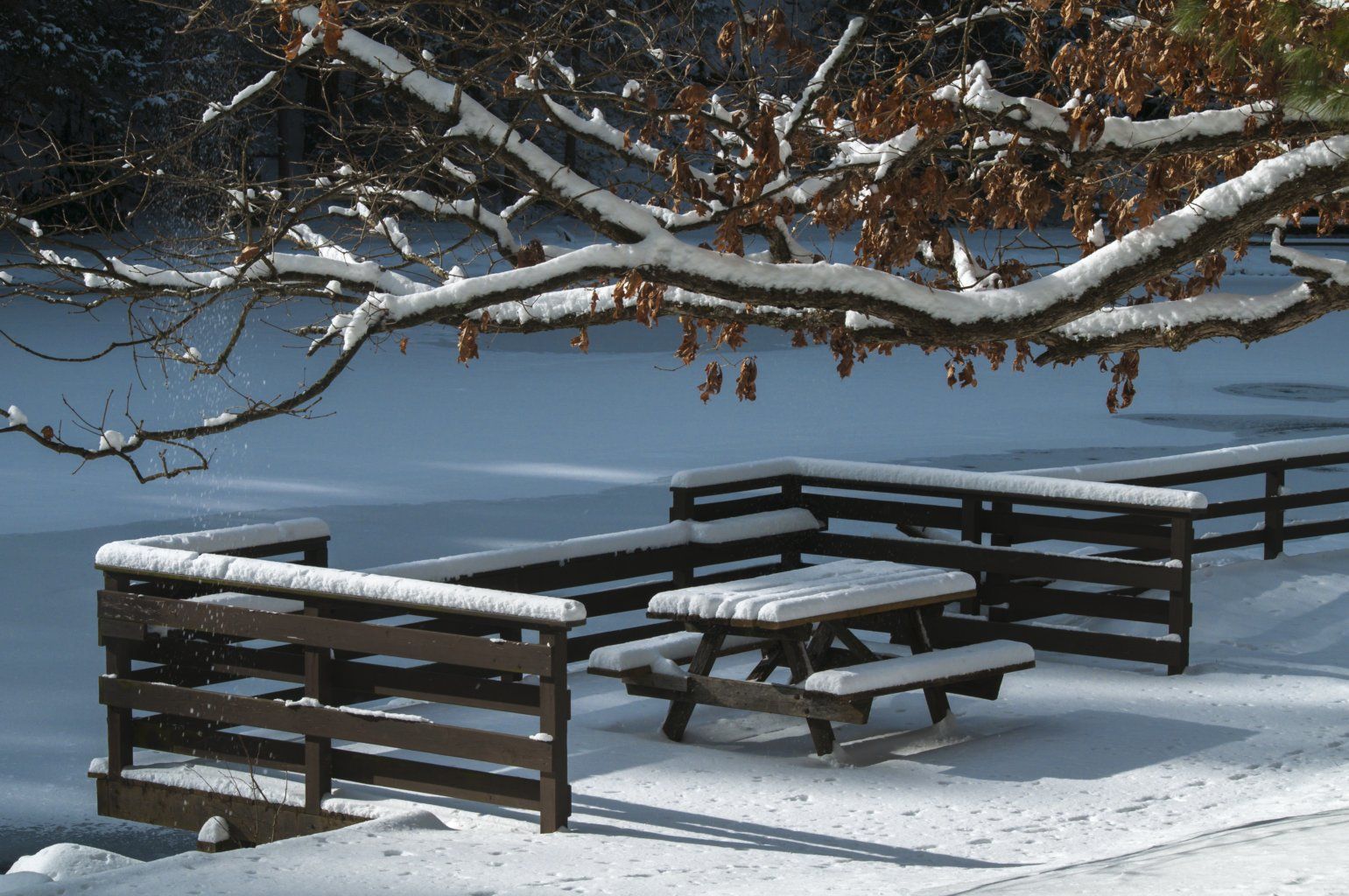 Beach Picnic Bench, USA