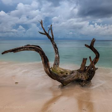 Beached, Barbados