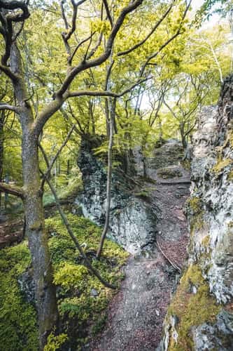 Beilstein Feldberg Taunus