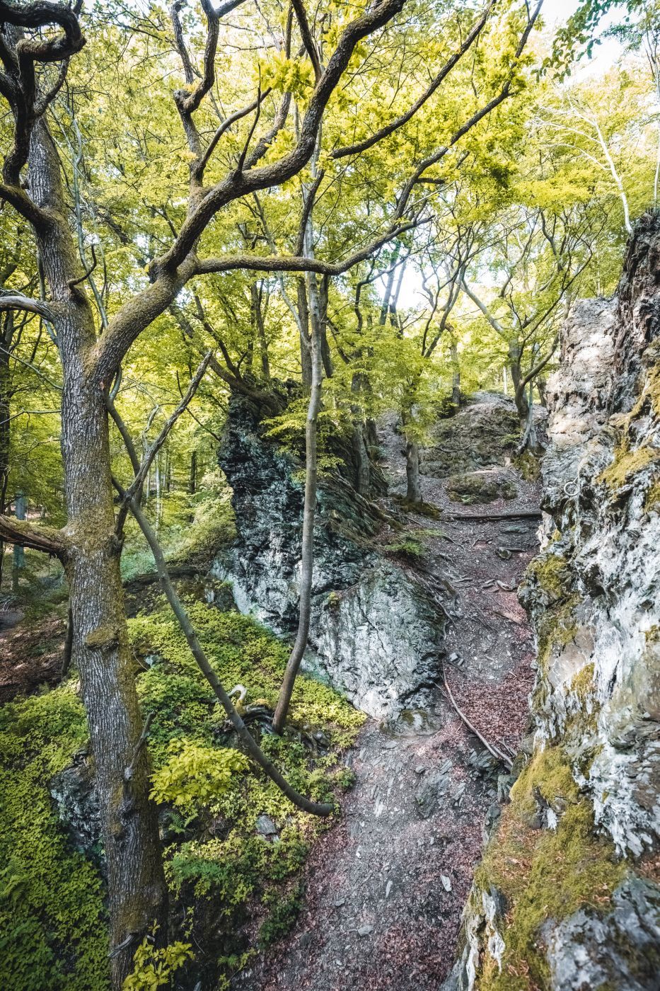 Beilstein Feldberg Taunus, Germany