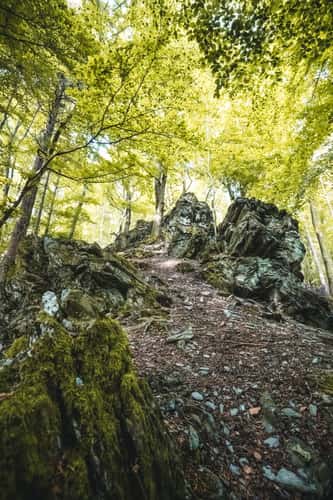 Beilstein Feldberg Taunus