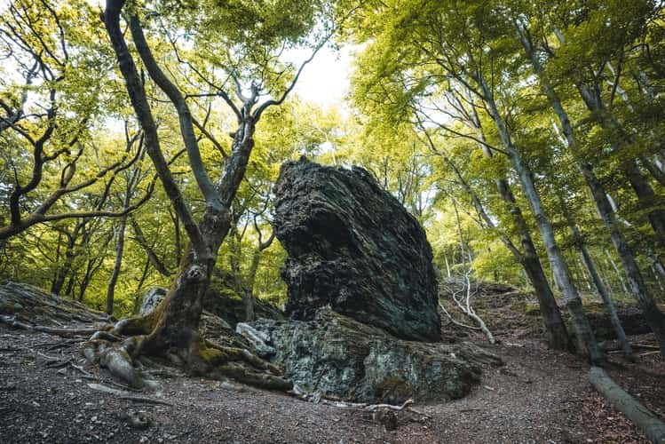 Beilstein Feldberg Taunus