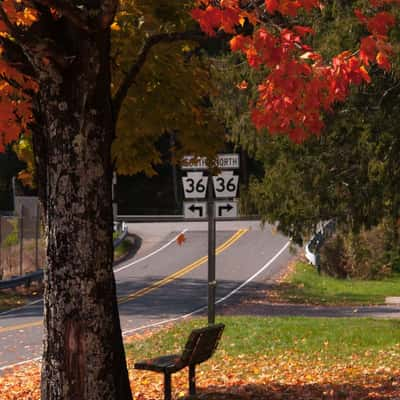 Bench on River Road, USA