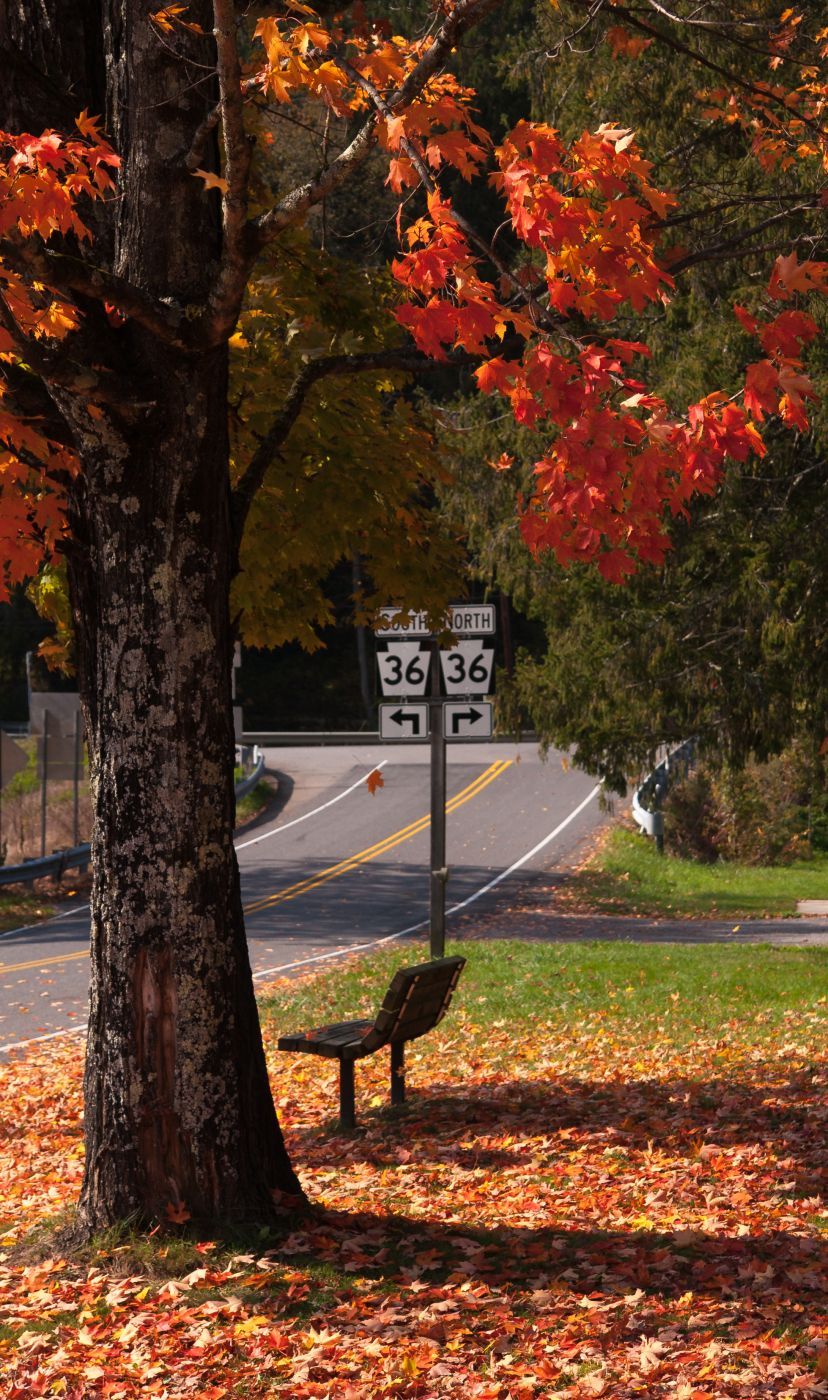 Bench on River Road, USA