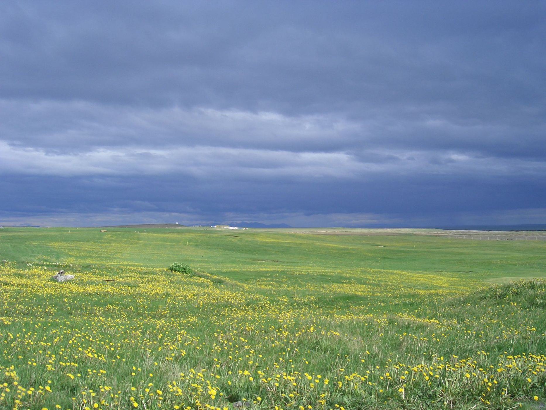 Flourishing Iceland, Iceland