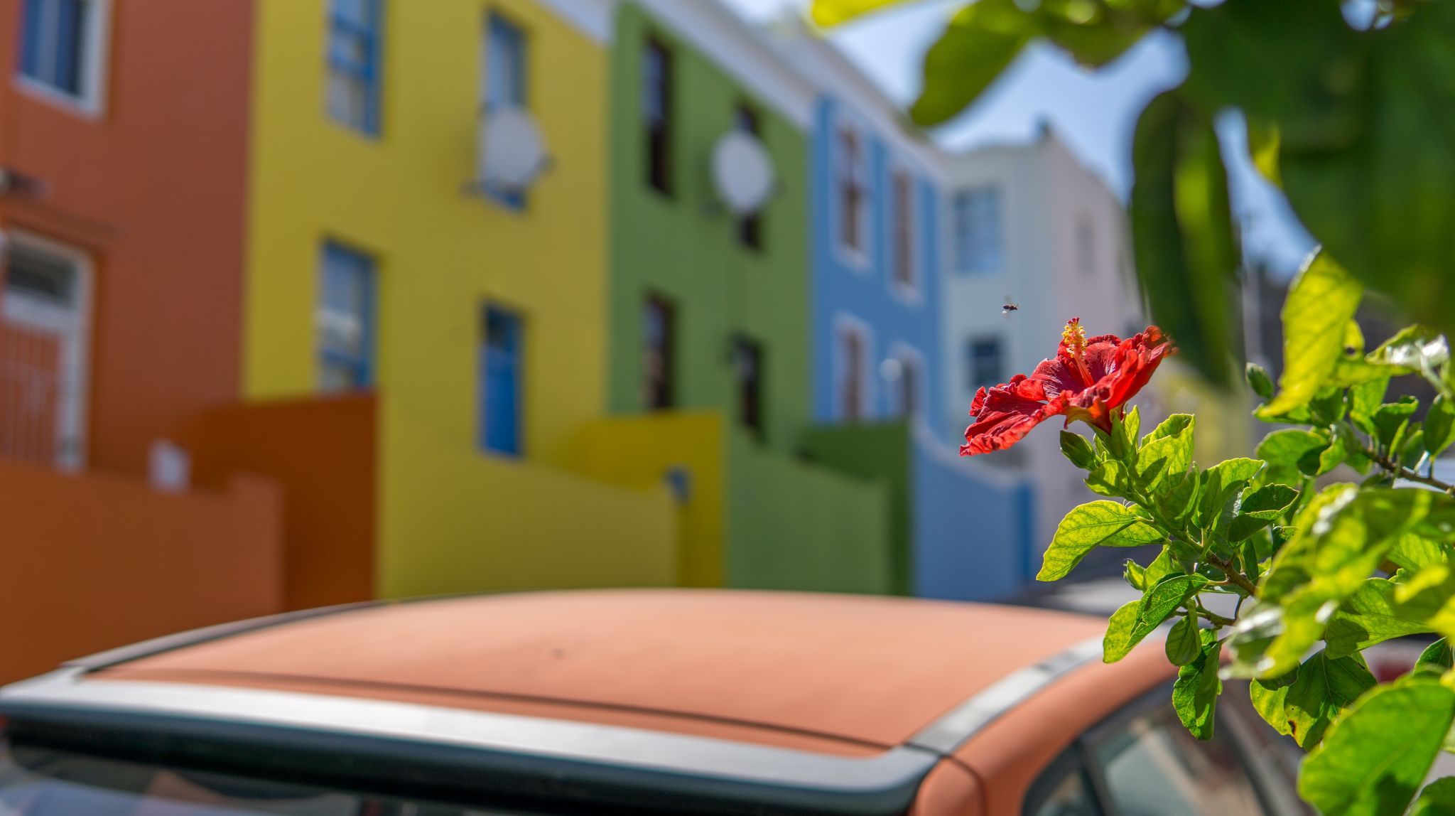 Bo-Kaap, South Africa