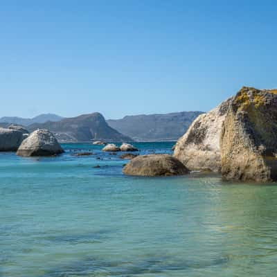 Boulders Beach, South Africa