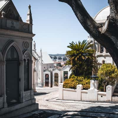 Cemitério dos Prazeres Lissabon, Portugal