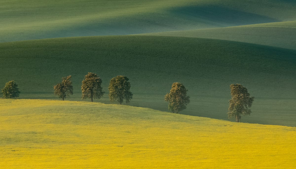 Chestnuts Avenue, Moravia, Czech Republic