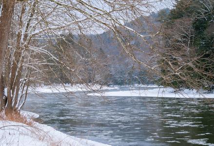Clarion River in Cook Forest