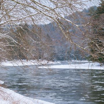 Clarion River in Cook Forest, USA