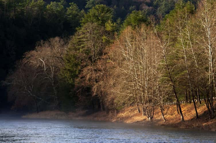Clarion River in Cook Forest