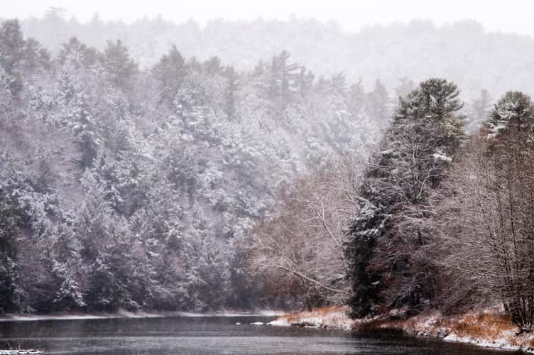 Clarion River in Cook Forest