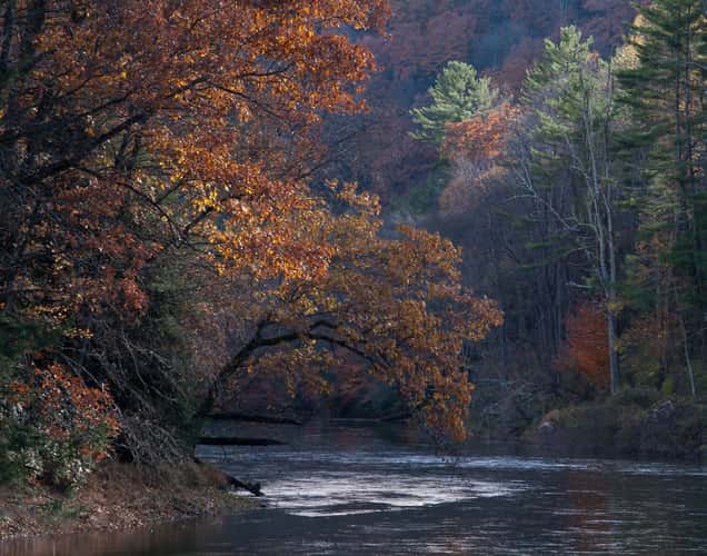 Clarion River near Clear Creek