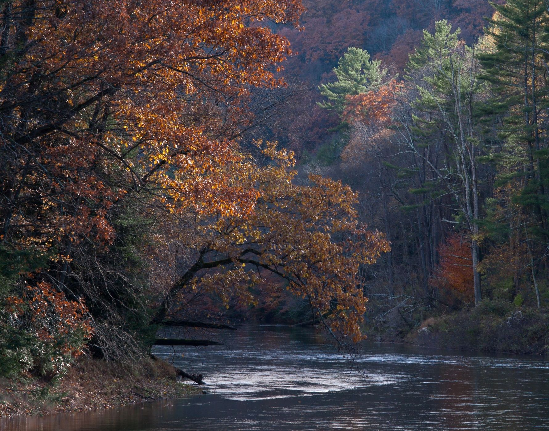 Clarion River near Clear Creek, USA