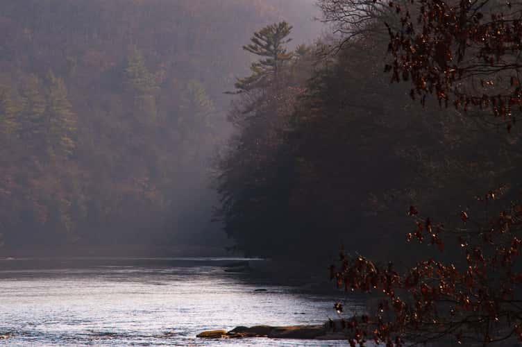 Clarion River near Coleman Run Rd