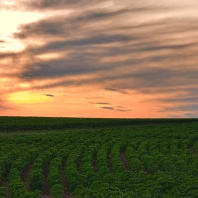 Colorful sunset and fields, France