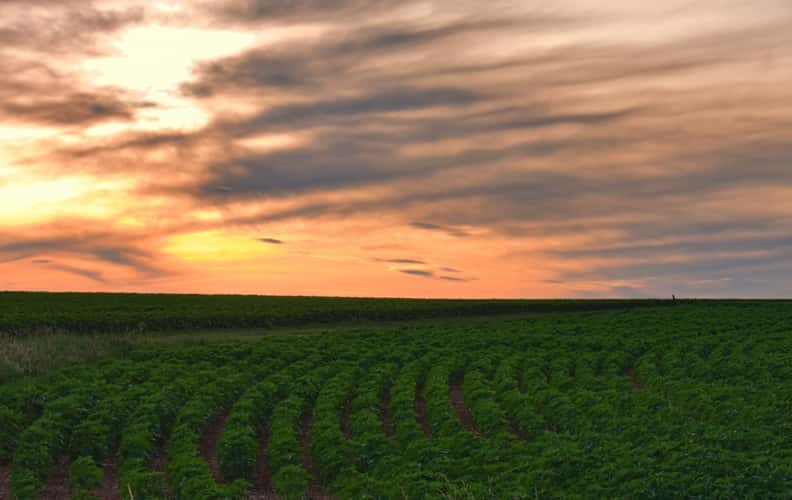 Colorful sunset and fields