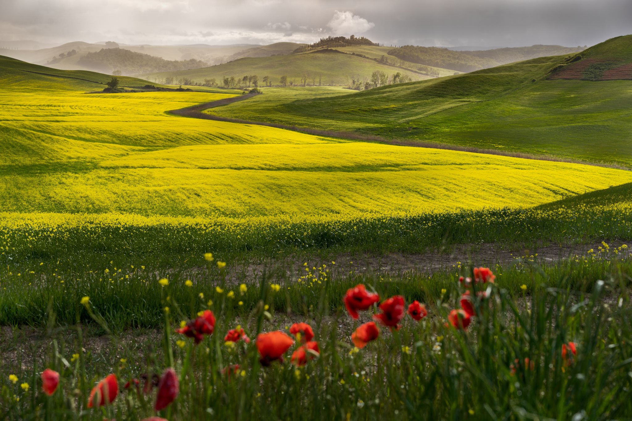 Crete Senesi, Italy