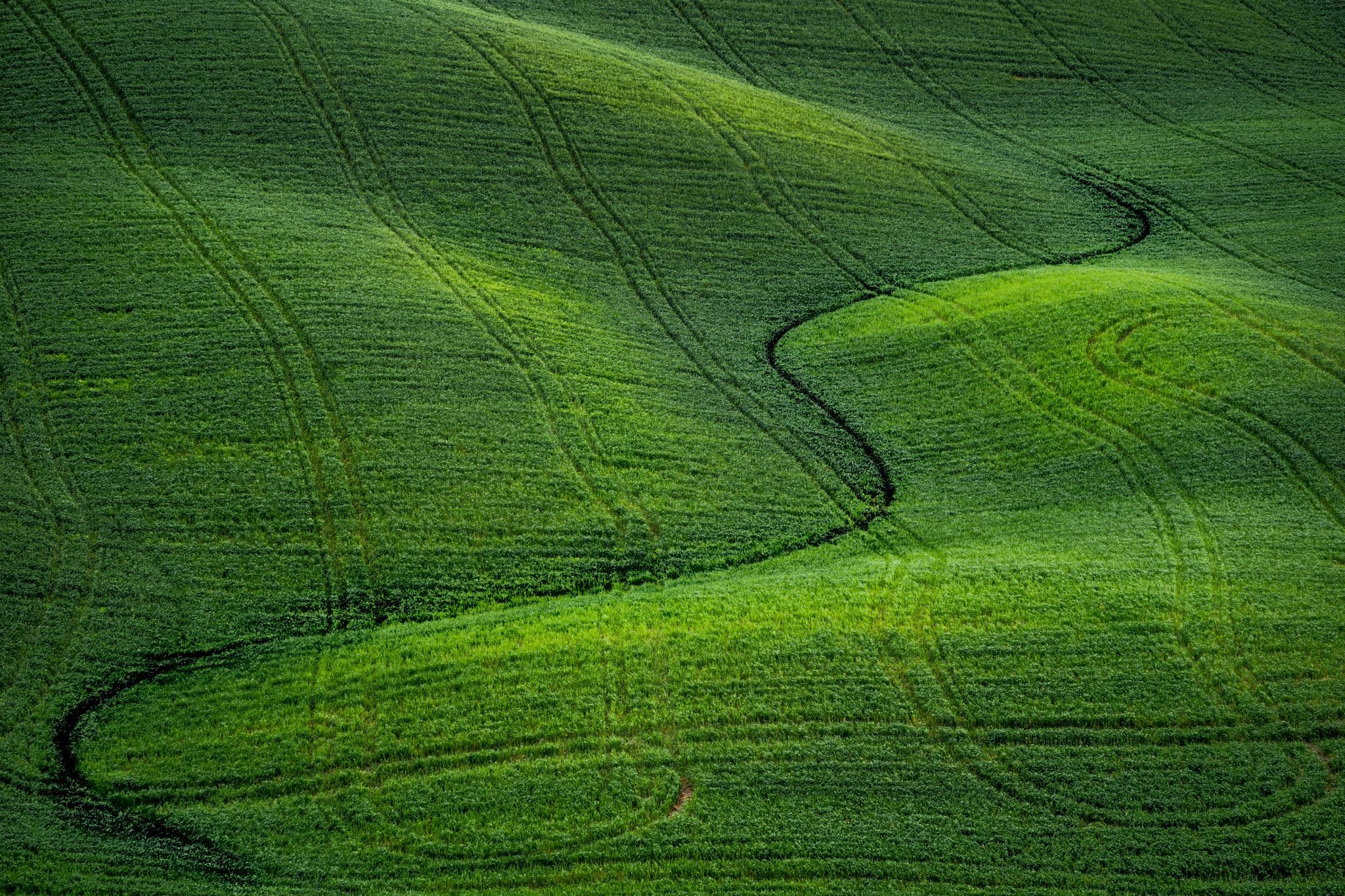 Crete Senesi, Italy