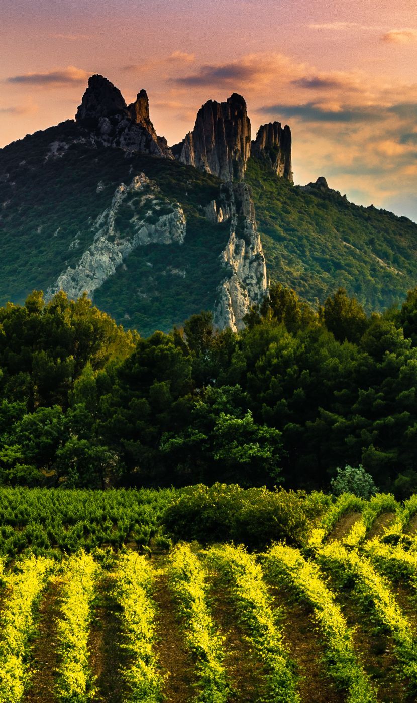 Dentelles de Mont Mirail, France