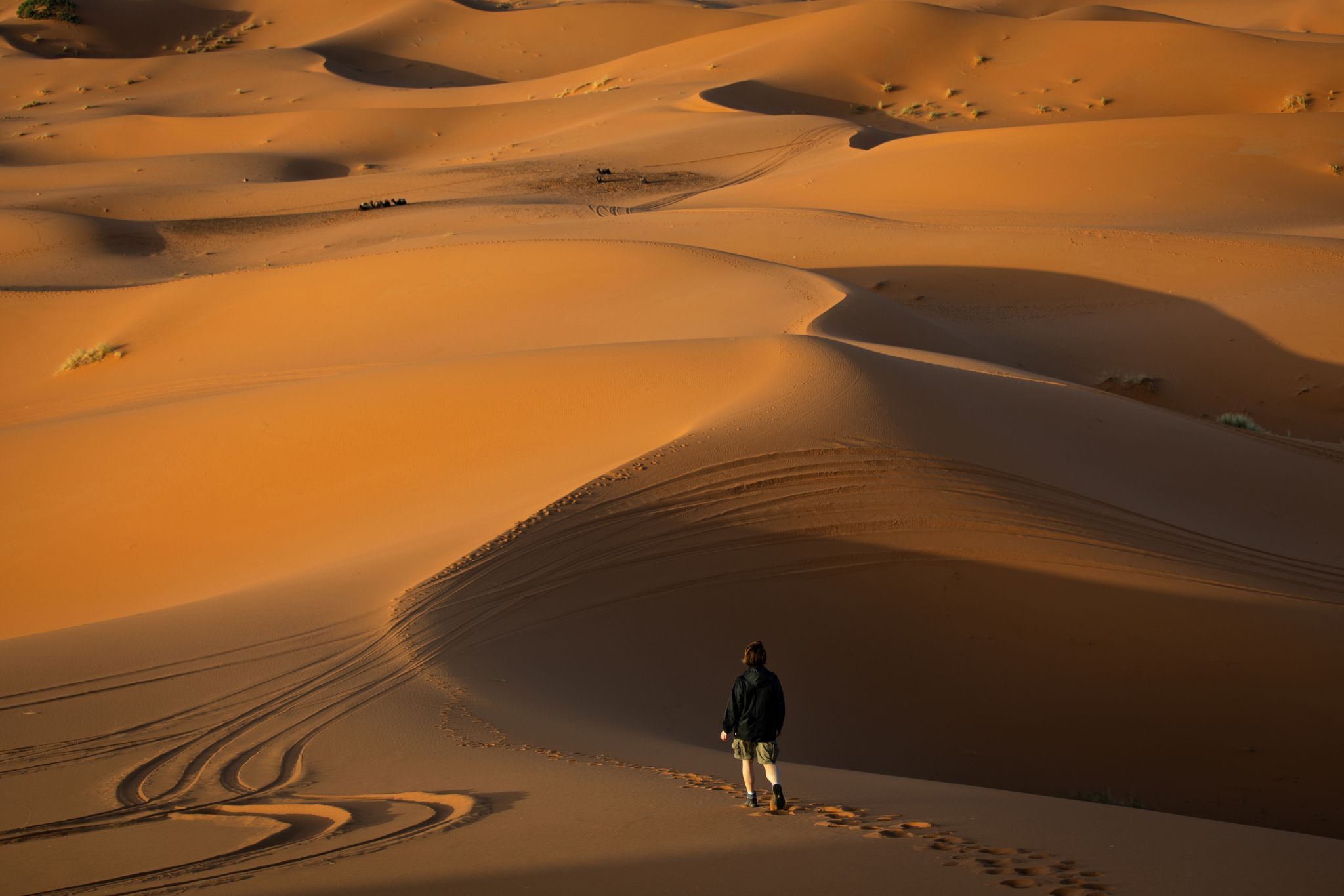 Erg Chebbi Desert, Morocco