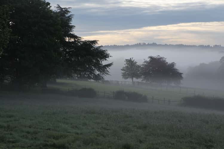 Eridge Valley