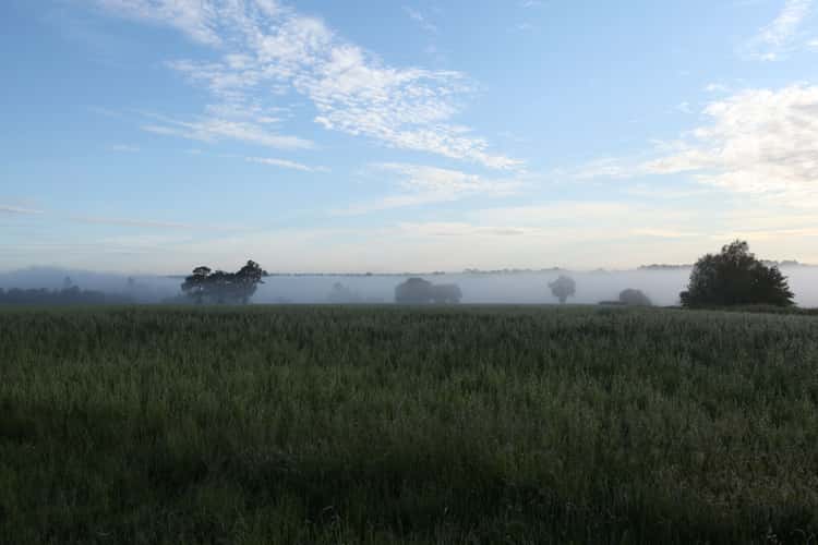 Eridge Valley