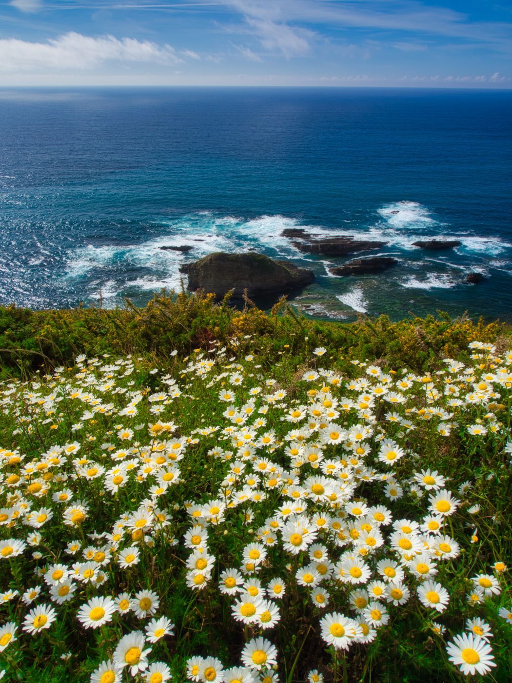 Ocean View at Faro de Cabo Vidio, Spain