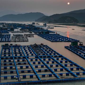 Fish farms at sunset Xiapu, China