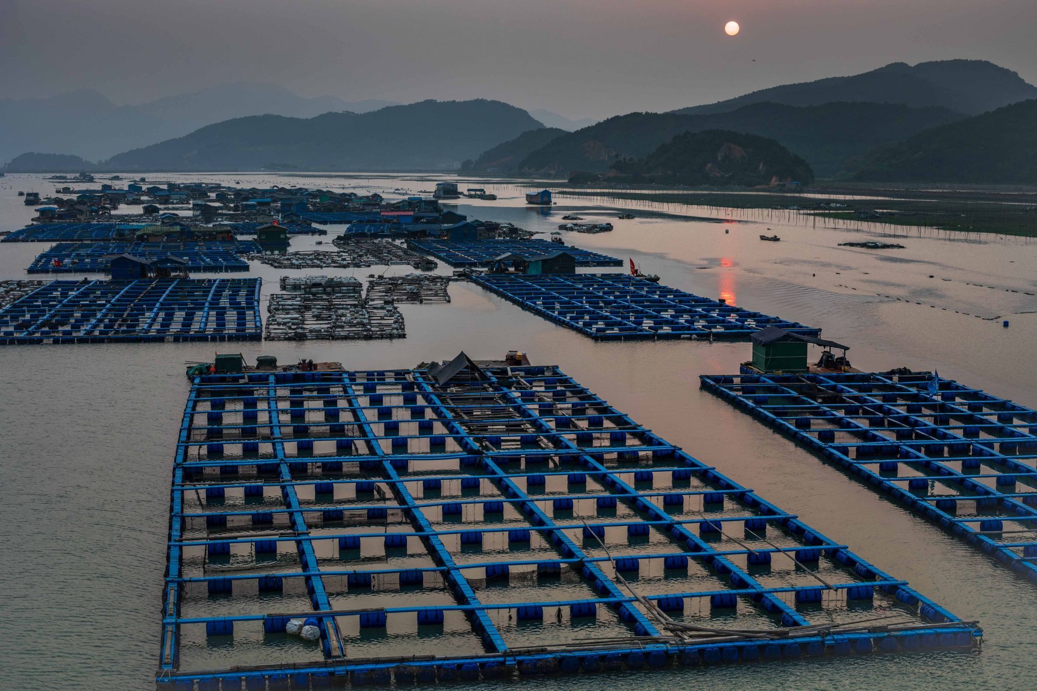 Fish farms at sunset Xiapu, China