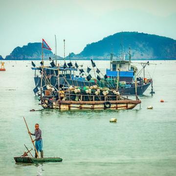 Fisherman returning to shore Xiapu, China