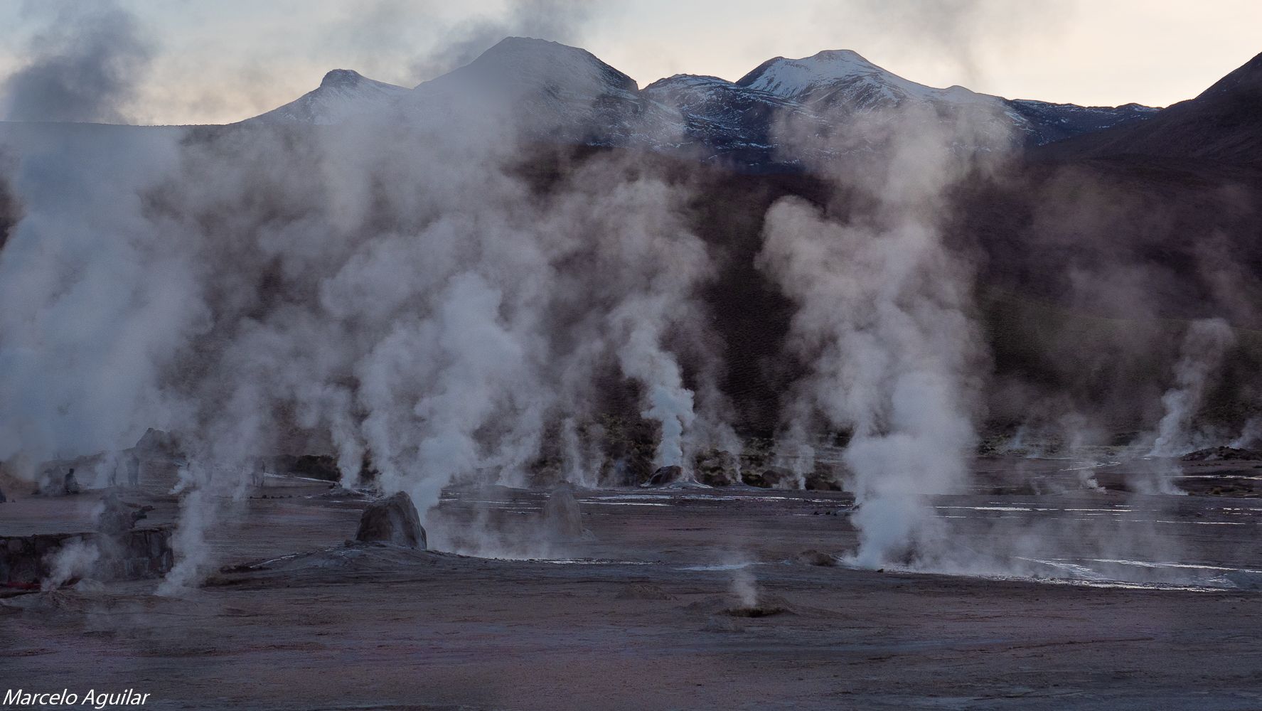 Geysers Del Tatio, Chile