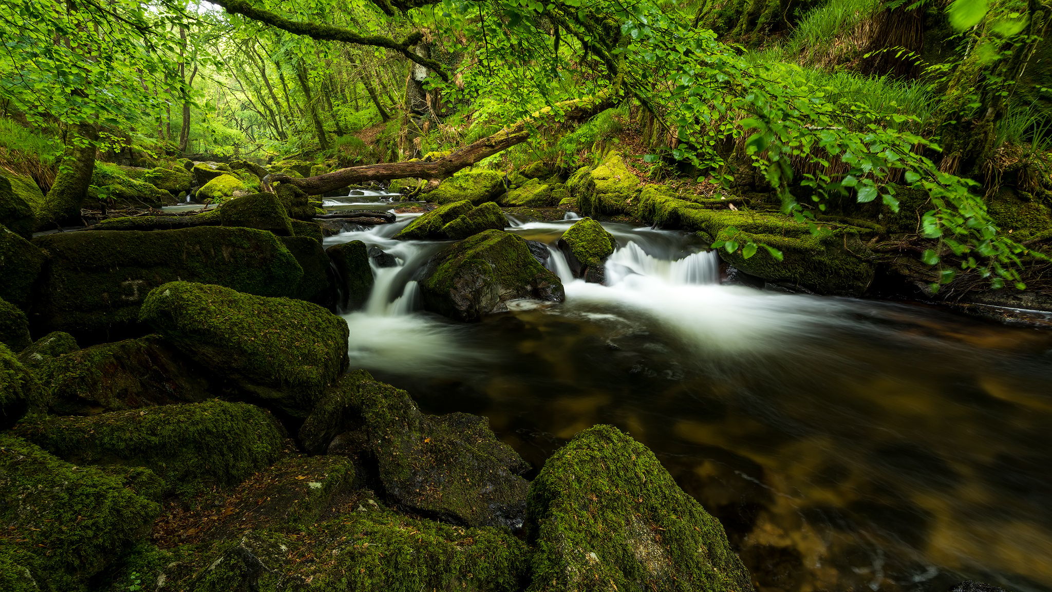 Golitha Falls, United Kingdom