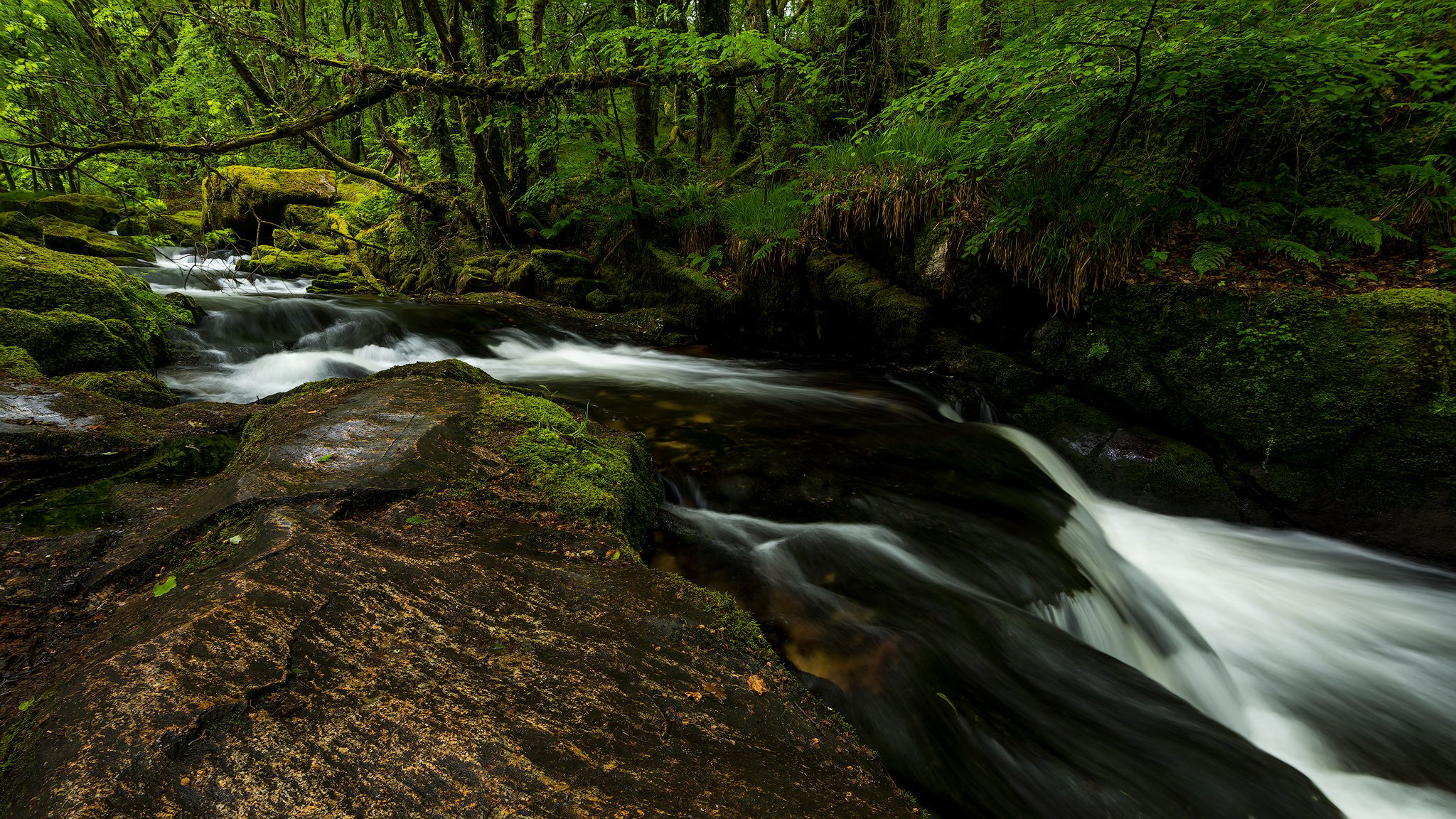 Golitha Falls, United Kingdom