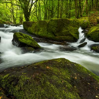 Golitha Falls, United Kingdom