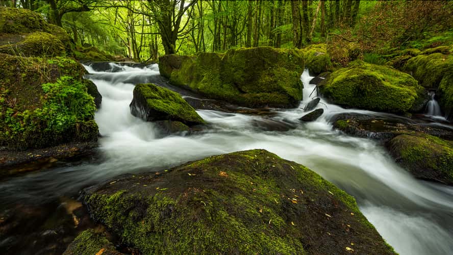 Golitha Falls