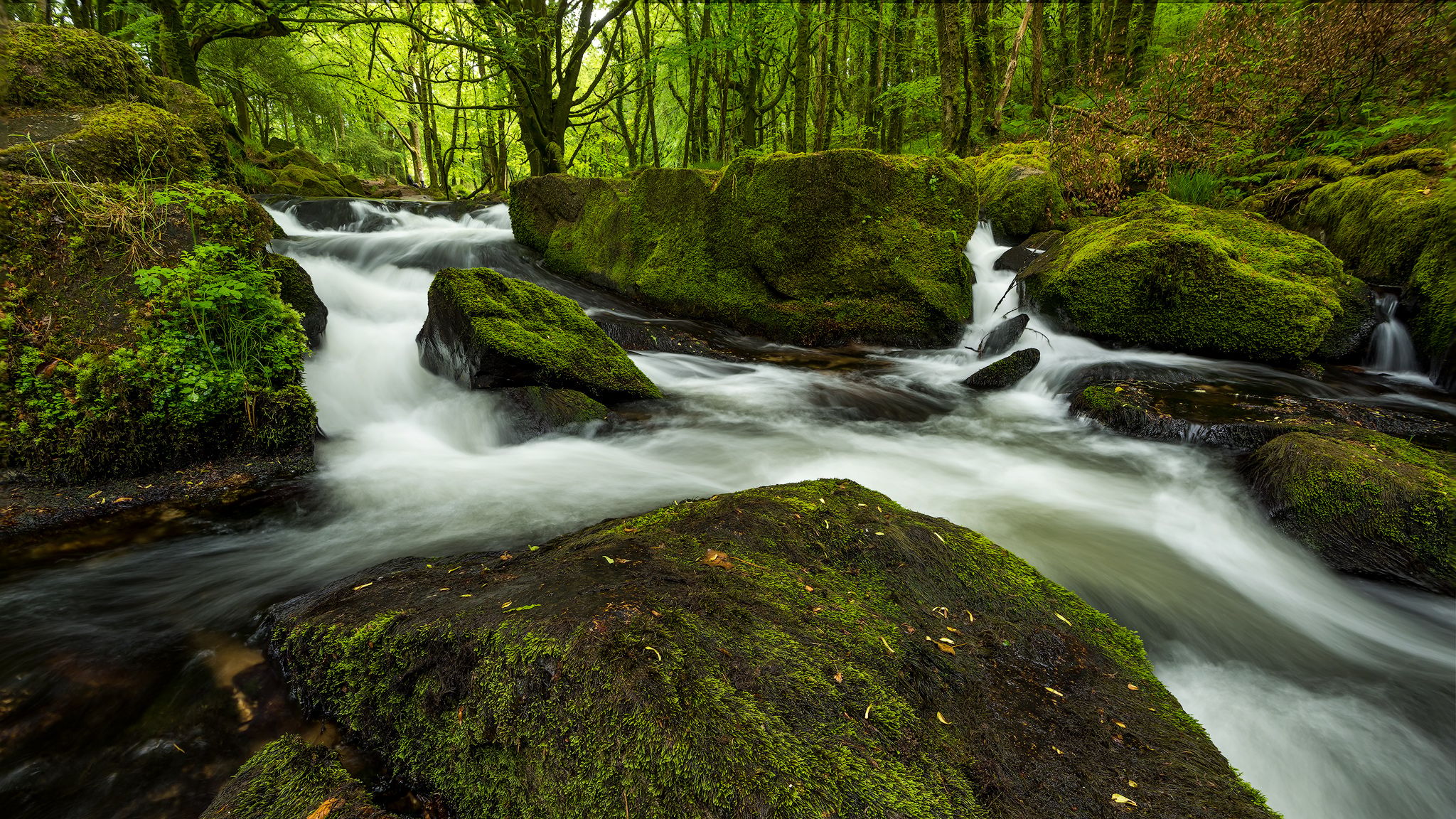 Golitha Falls, United Kingdom