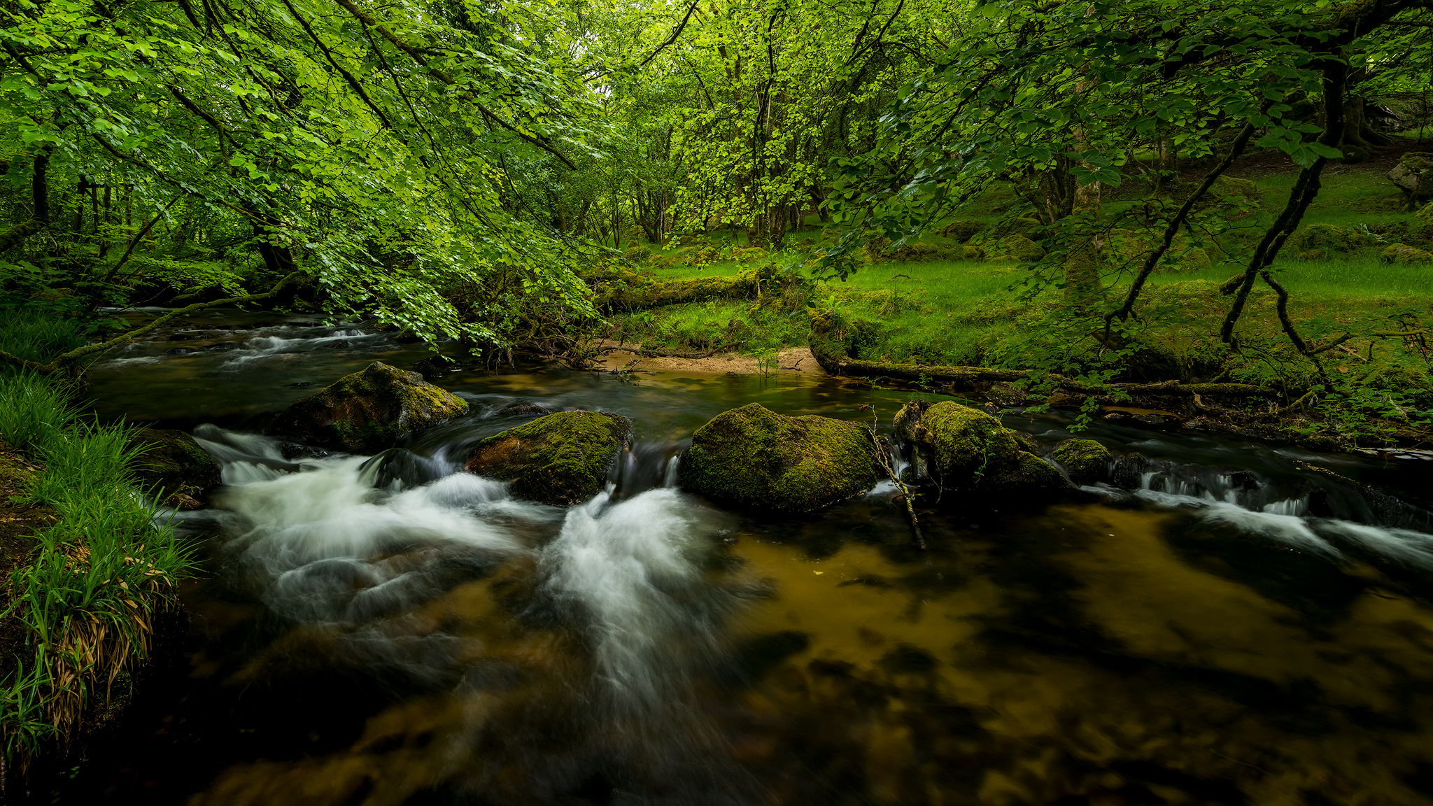 Golitha Falls, United Kingdom