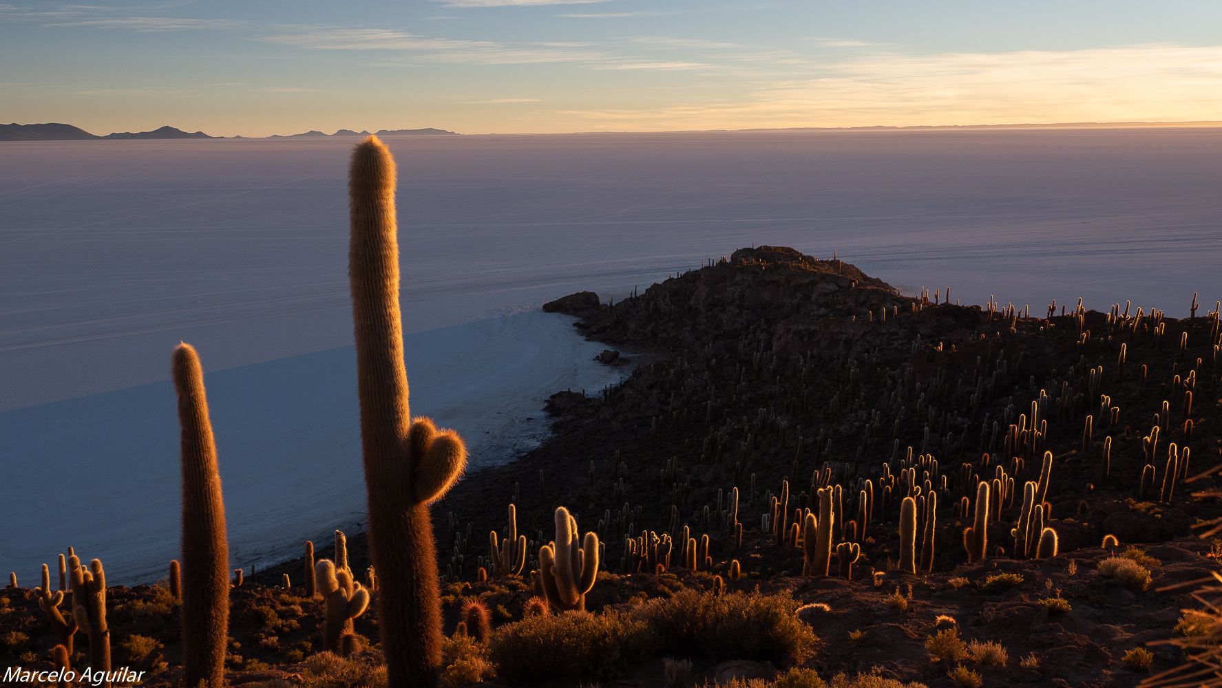Incahuasi , cactus light, Bolivia